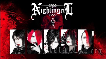 К NightingeiL присоединился гитарист К NightingeiL присоединился гитарист